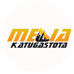 Website preview